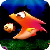 Fisher Birds 1.0