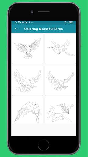 Coloring Bird Beautiful Ideas screenshot 3