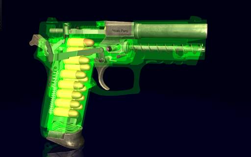 How it Works: SIG SP2022 pistol screenshot 15
