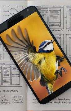 Bird Wallpaper HD screenshot 5