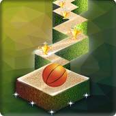 Zig Zag Basket Ball 1.0.1