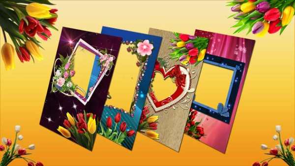 Tulip Flower Photo Frames screenshot 2