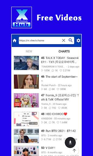 XXVI Video Downloader screenshot 4