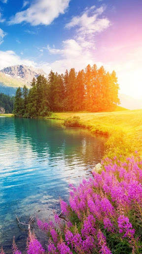 Nature Wallpaper screenshot 3