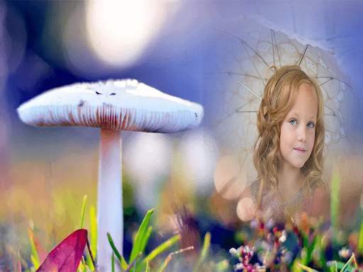 Monsoon Rain Photo Frames 3 تصوير الشاشة