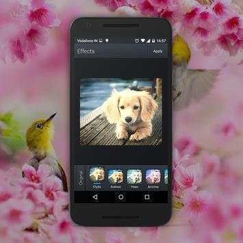 PicArts Photo Editor 8 تصوير الشاشة