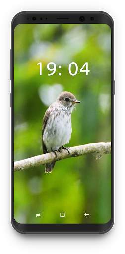 Bird Wallpapers 🦜 screenshot 3
