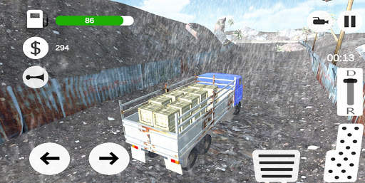 Truck Driver : Extreme Balancer screenshot 2