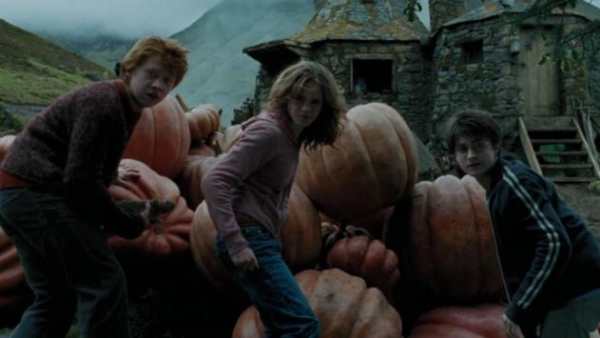Free Wallpapers Harry Potter screenshot 4