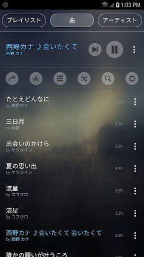 Mp3 Player screenshot 15