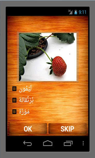 Arabic -English  Word Quiz screenshot 5
