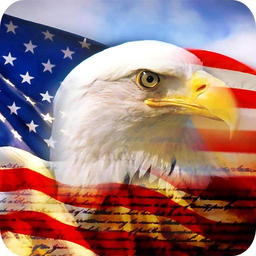 American Flag Wallpaper 1.01