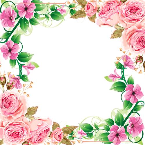 Flower Insta DP , Flower Frames Profile Pic screenshot 10