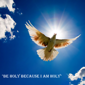 Christians Bible Reference иконка