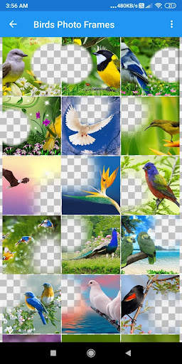 Bird Photo Frames Editor: DP, Quotes, Greeting screenshot 2