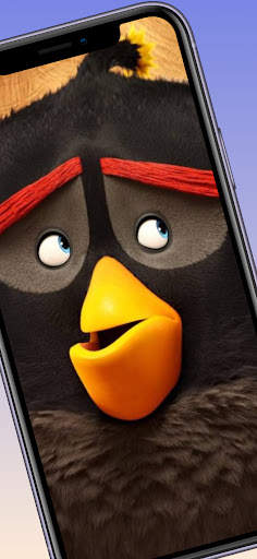 Angry Wallpaper Bird Screen HD स्क्रीनशॉट 3