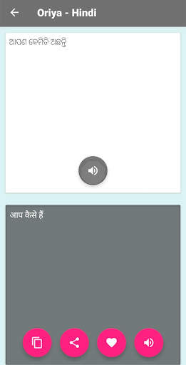 Oriya (Odia) - Hindi Translator screenshot 6