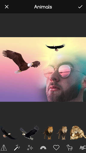Birds Frame App 5 تصوير الشاشة