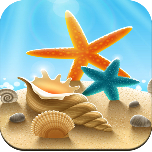 Seashell wallpaper HD أيقونة