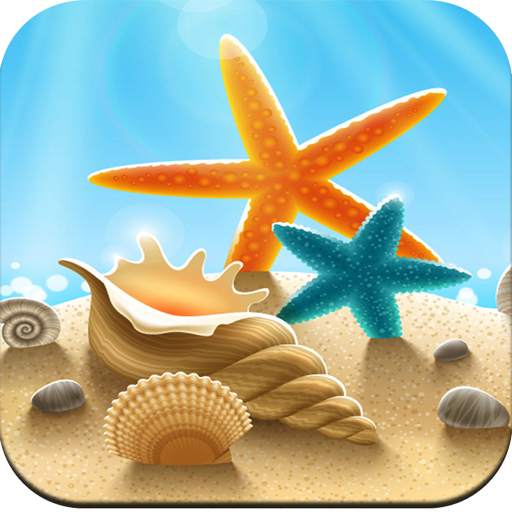 Seashell wallpaper HD 1.07