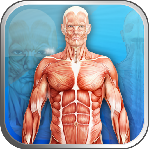 APPunti di anatomia-Lite icon