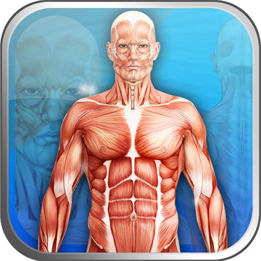 APPunti di anatomia-Lite 1.1.5