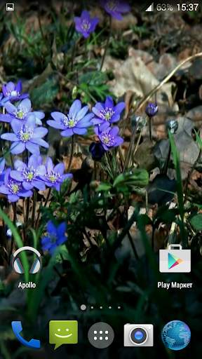 Forest flowers Video Wallpaper screenshot 4