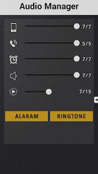 Audio Manager Pro screenshot 1
