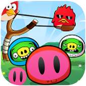 Angry chicken down