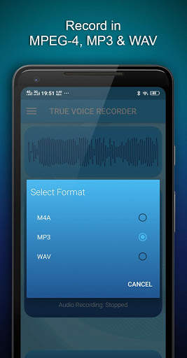 True Voice Recorder - No Ads - Gain Control screenshot 5