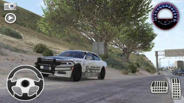 Driving Dodge Charger Muscle Race Simulator screenshot 2