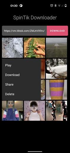 SpinTik - Video Downloader for TikTok screenshot 2