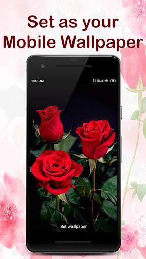 Rose Live Wallpaper screenshot 3