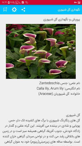 گل و گیاهان اپارتمانی   پرورش و نگهداری screenshot 5