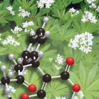 Biochemistry Handbook on 9Apps