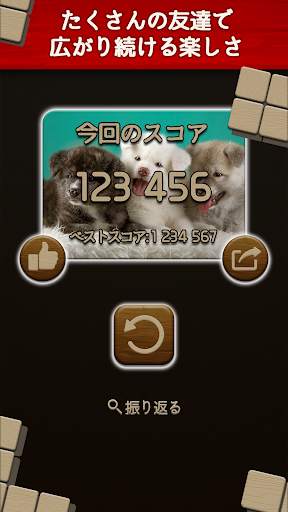 ウッディーパズル Woody Block Puzzle screenshot 5
