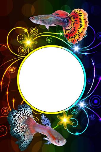 Guppy Fishs Photo Frames screenshot 1
