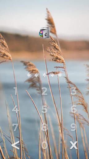 AppLock Live Theme Reeds – Paid Theme screenshot 2