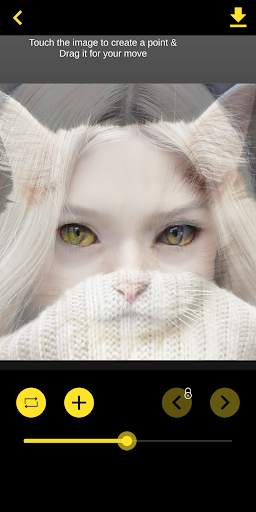 Face Swap & Morph Animation Maker screenshot 6
