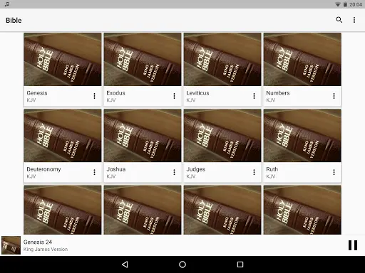 Bible Audio screenshot 5