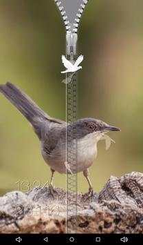 Birds Zipper Lock Screen screenshot 22