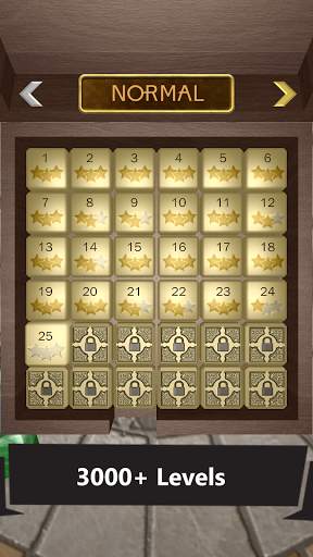 Unblock 3D Puzzle screenshot 3