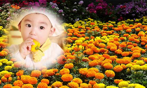 Photo Frame Family Photo Frame Garden application screenshot 13