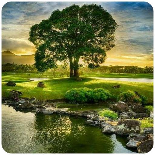 Fondos de Paisajes Hermosos 1.0