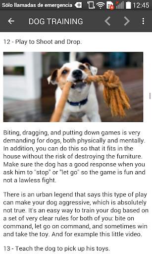 Dog Training Guide Offline screenshot 12