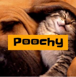 Poochy Pet Social screenshot 9