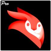 Tips Videoleap Video Editor Enlight 1.0