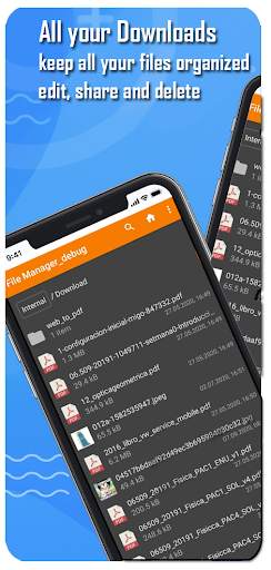 Downloads folder: Organizer tool screenshot 1