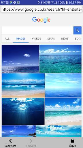 Web Download screenshot 1