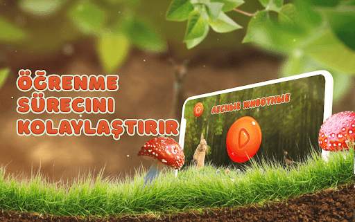 Hayvanlar âlemini öğren screenshot 5